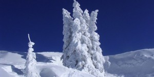 Снег в Альпах