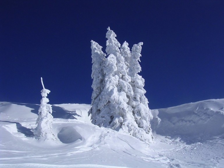 snow-alps